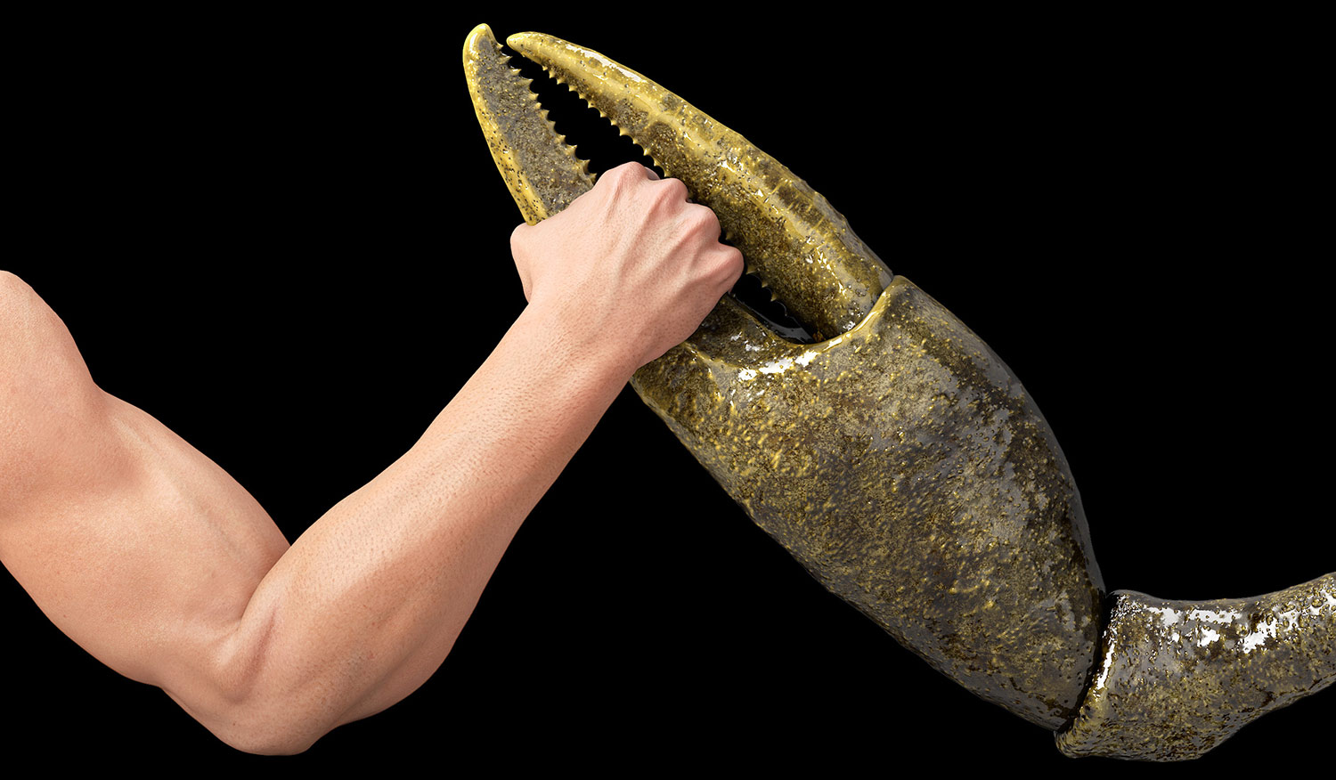 hand claw